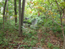 jones-cemetery-zanesville-in-2-19jul2014