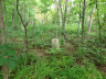 jones-cemetery-zanesville-in-1-19jul2014