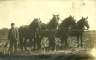 john-bender-with-horse-team